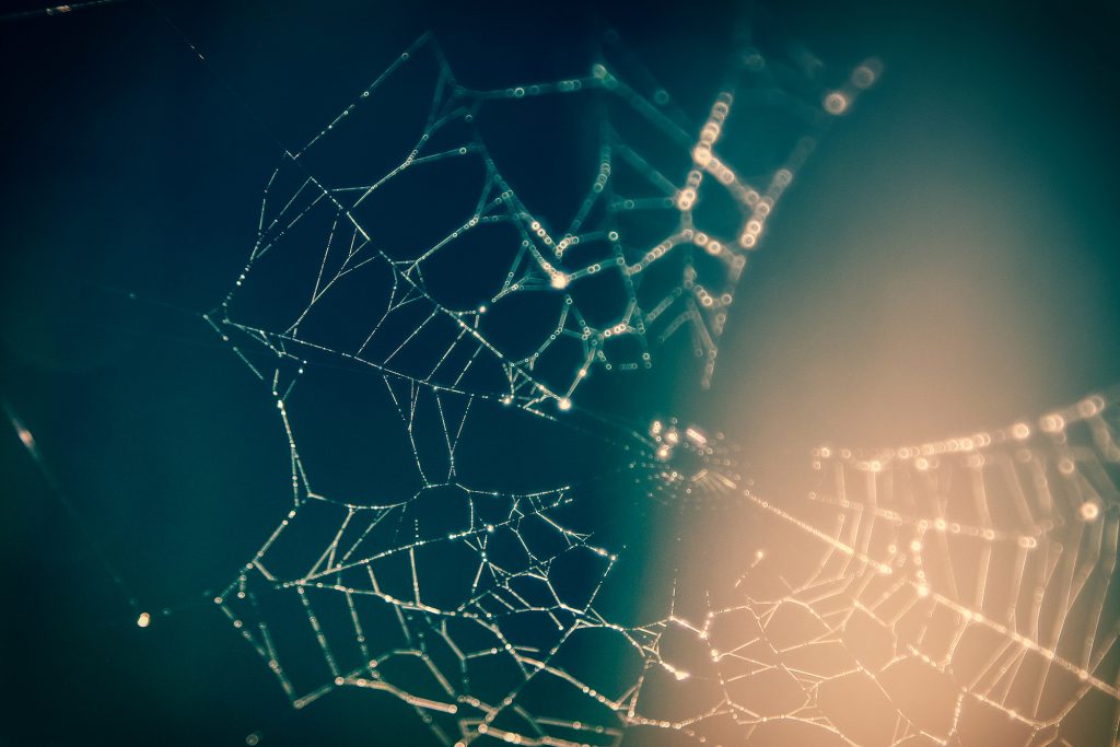 Spiderweb Network
