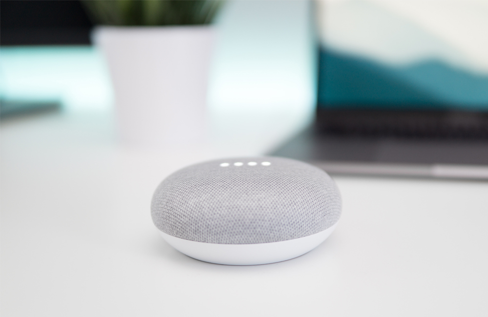 Voice Search Google Home