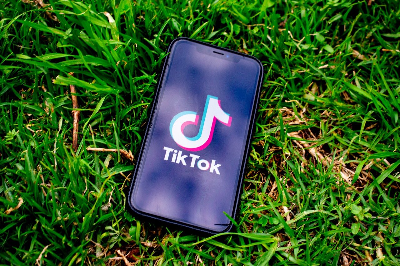 How to Get TikTok Famous (14 Steps) - Influencive
