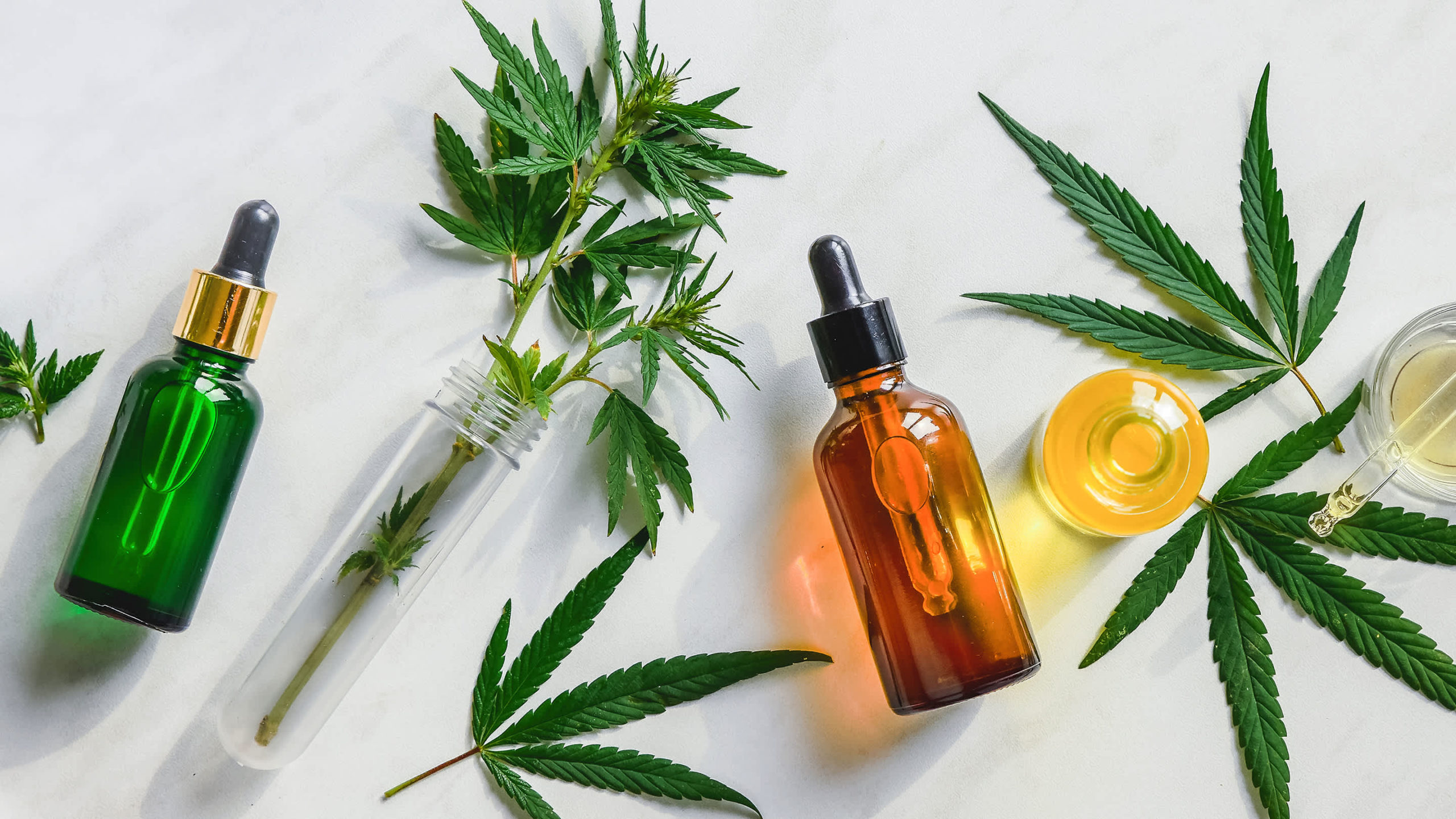 A Guide to CBD for CEOS