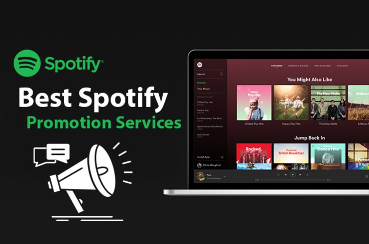 I will do real organic Spotify music promotion for your track - AnyTask.com