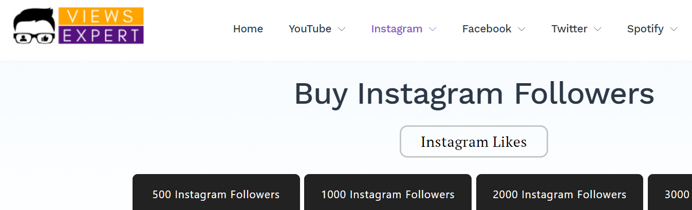 ViewsExpert - buy instagram followers