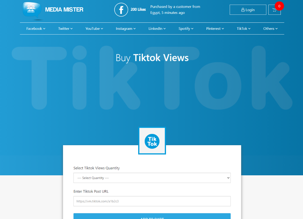 Media Mister TikTok Views