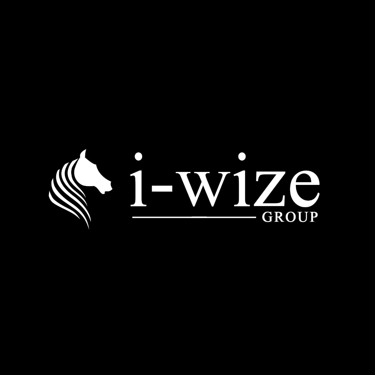 I-Wize Group – Helping You Streamline Your Income