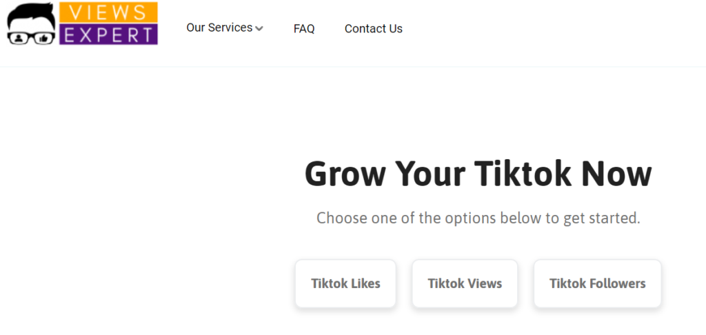 ViewsExpert - Buy TikTok followers