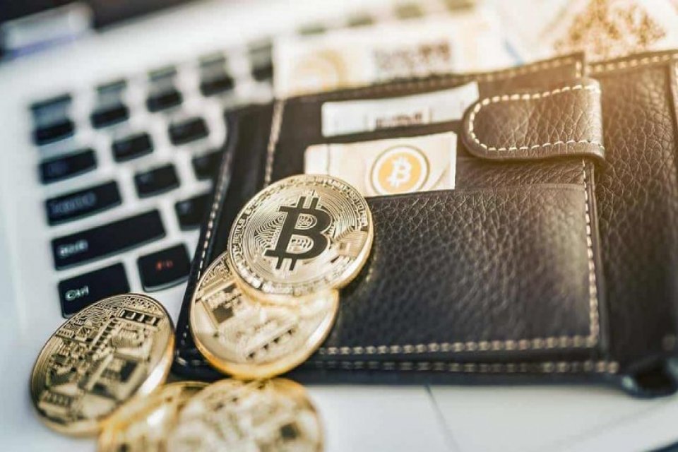 Best wallets for each crypto best mining cryptocurrency 2022