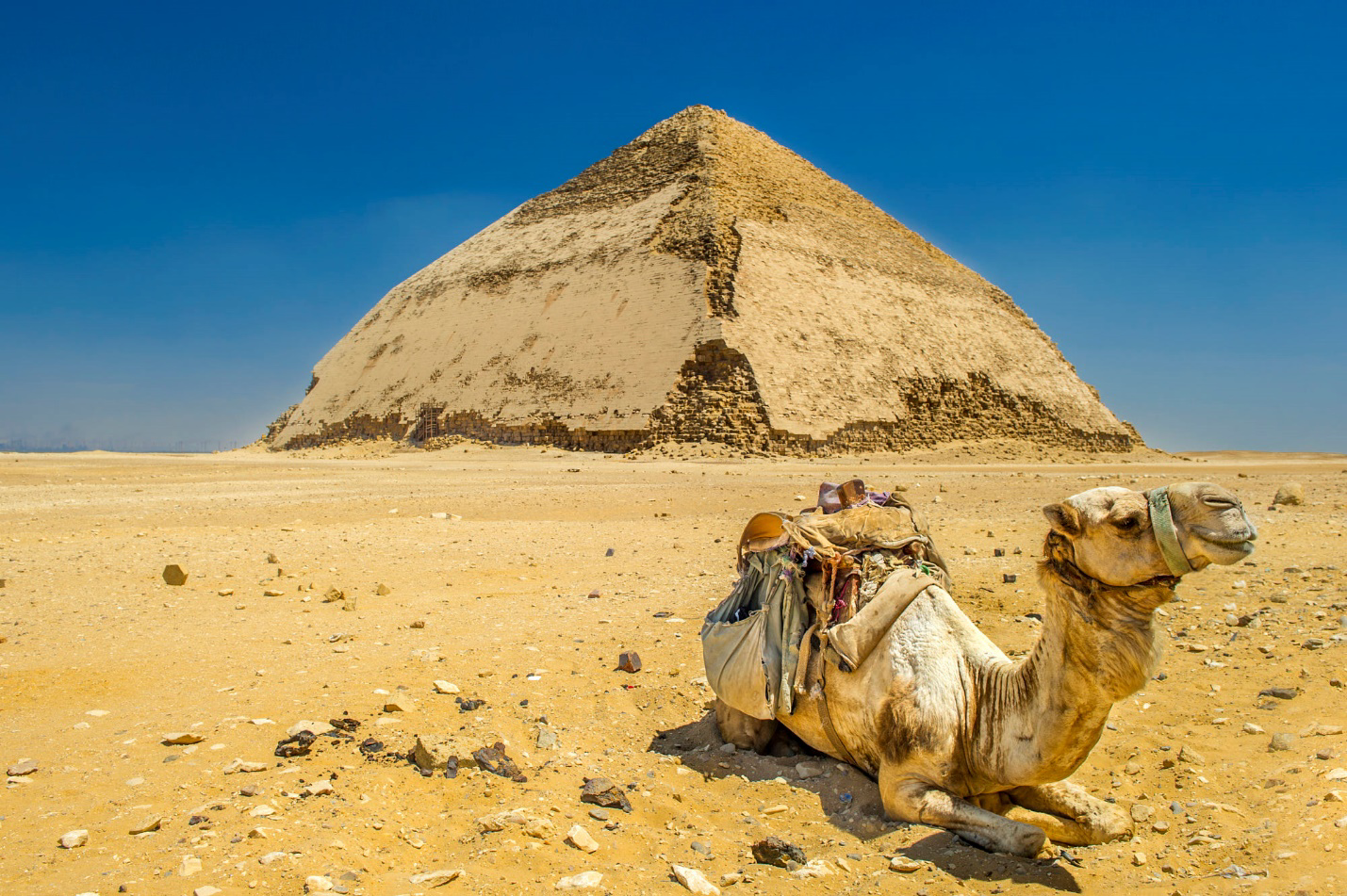 أفضل دليل للسفر إلى مصر
