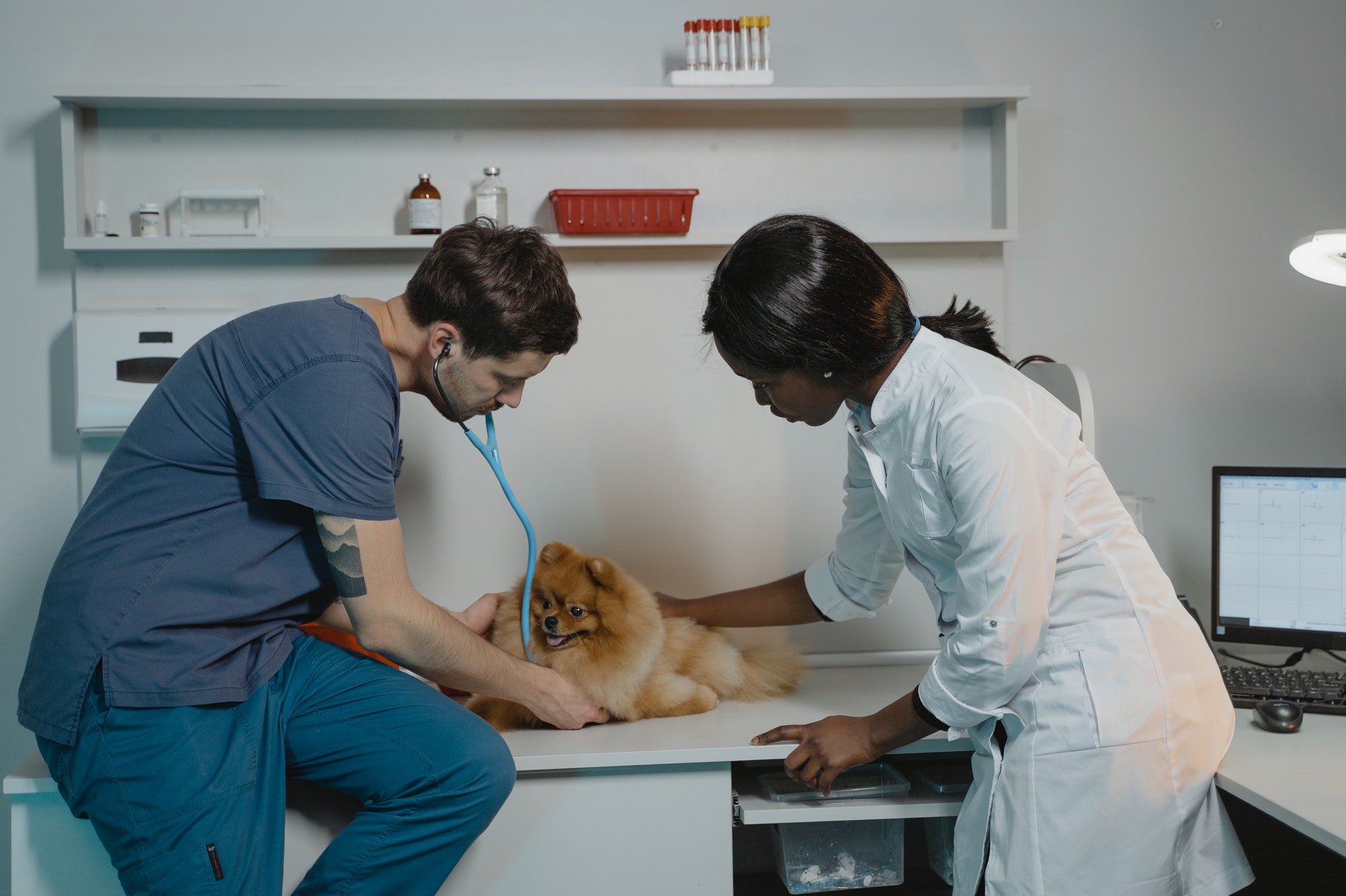 Lushington Connects African American Historical past to Early Veterinary Drugs
