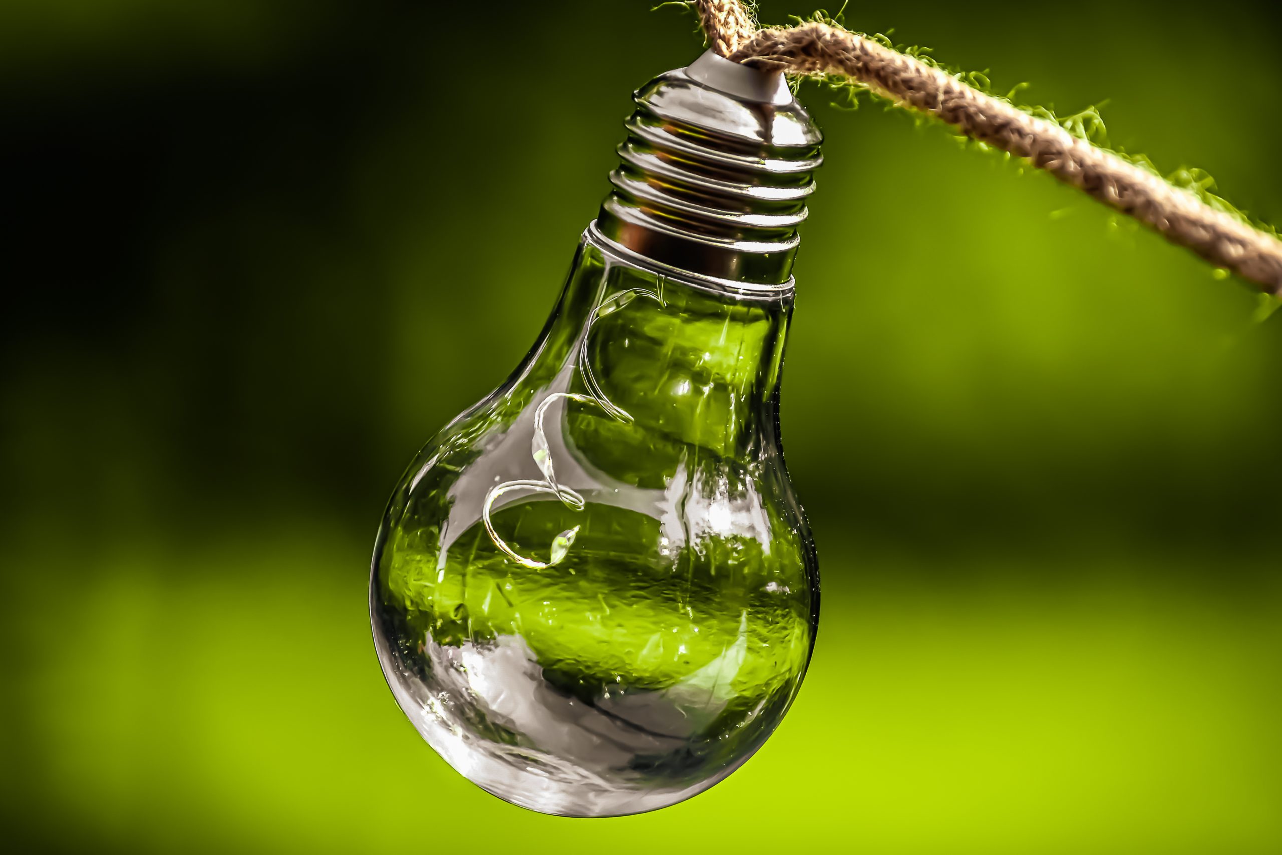 lightbulb, energy, nature