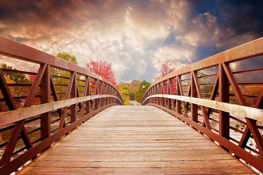 bridge, nature, fall