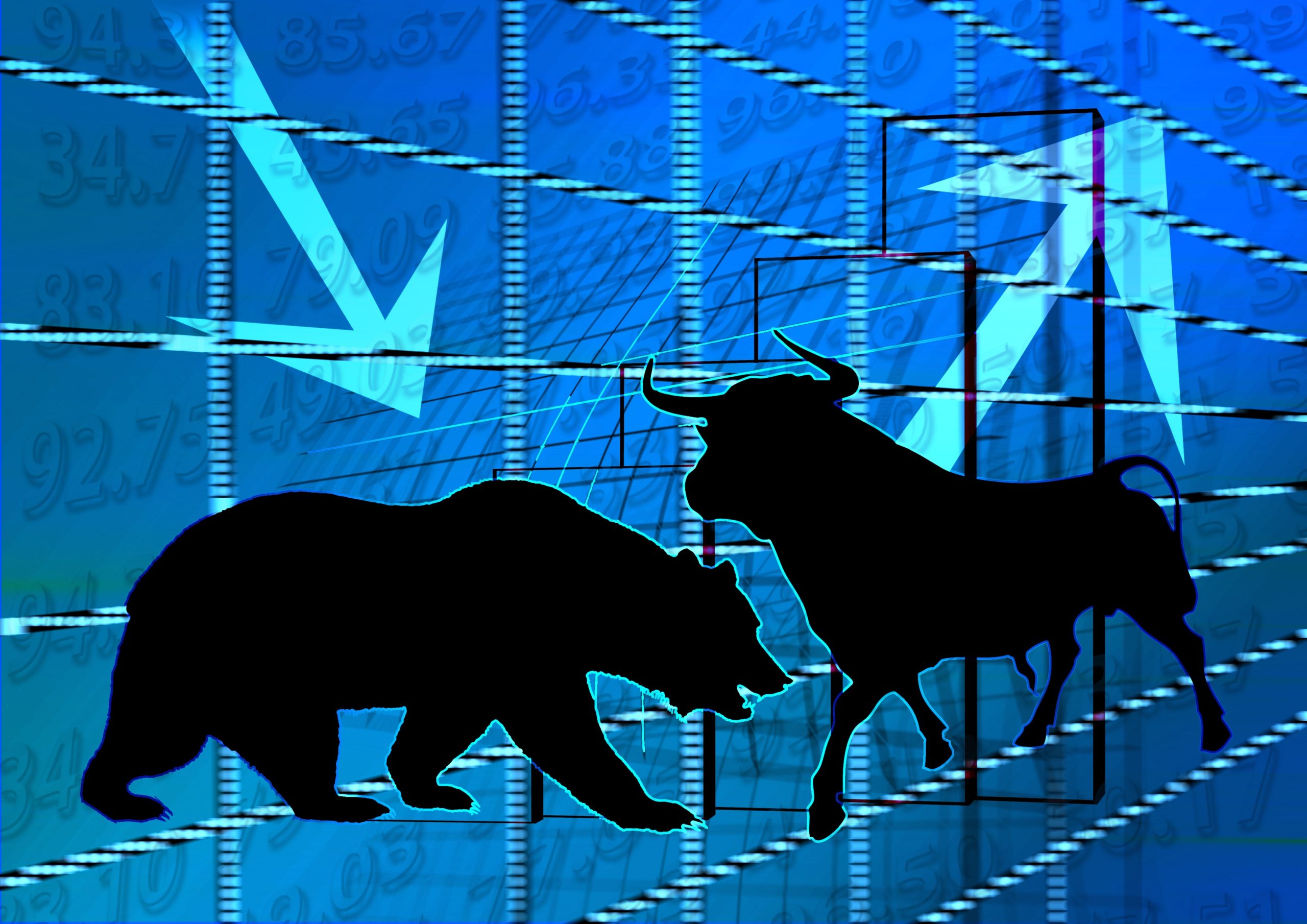 stock exchange, bull, bear